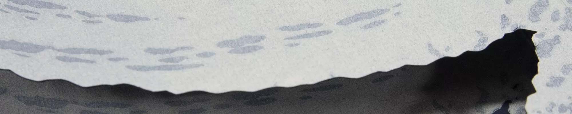 Guild of Book Workers Rocky Mountain Chapter & Art Students League of Denver present Book Structures for Printmakers