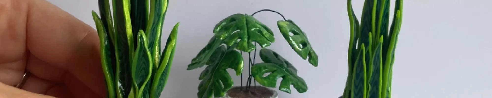 Sampler: Make Your Own Mini House Plants