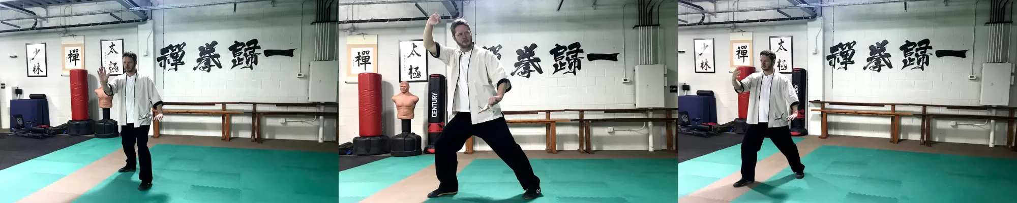 Tai Chi & Push Hands: Movement and Listening as Loving Gestures