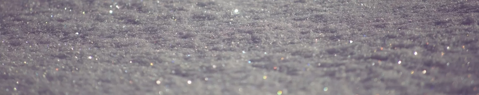 ALL THAT GLITTERS: A Holiday Salon