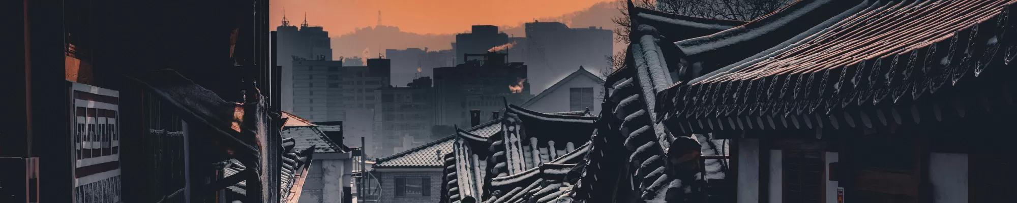 Atelier in South Korea: Intersection of art, food through books, with artist Sammy Lee